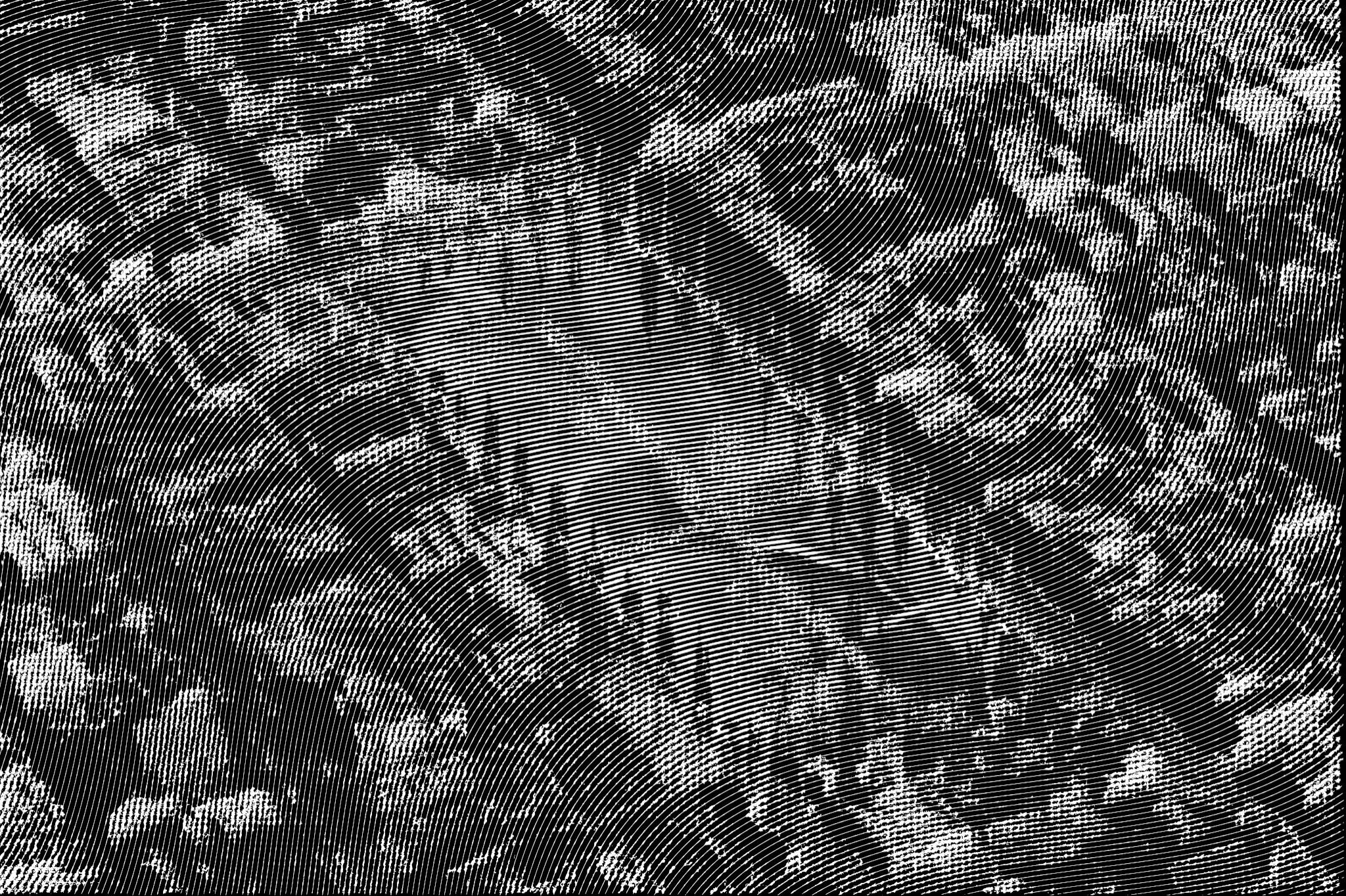 All that is public melts into air (2025)